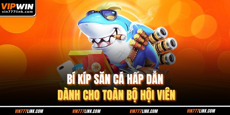 Bí kíp săn cá hấp dẫn dành cho toàn bộ hội viên